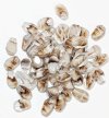 50 10mm Brown & Crystal Tortoise Twisted Oval Beads